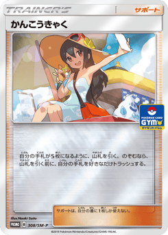 Sightseer 308/SM-P Sun & Moon Promos