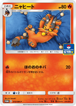 Torracat 313/SM-P Sun & Moon Promos