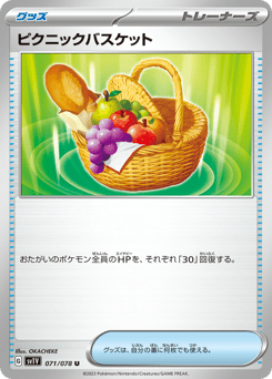 Picnic Basket 071/078 Violet ex