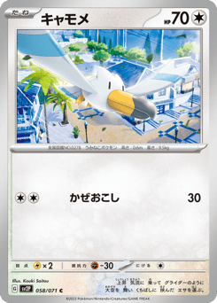 Wingull 058/071 Snow Hazard