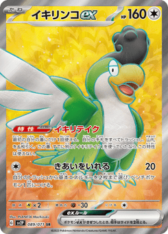 Squawkabilly ex 089/071 Snow Hazard