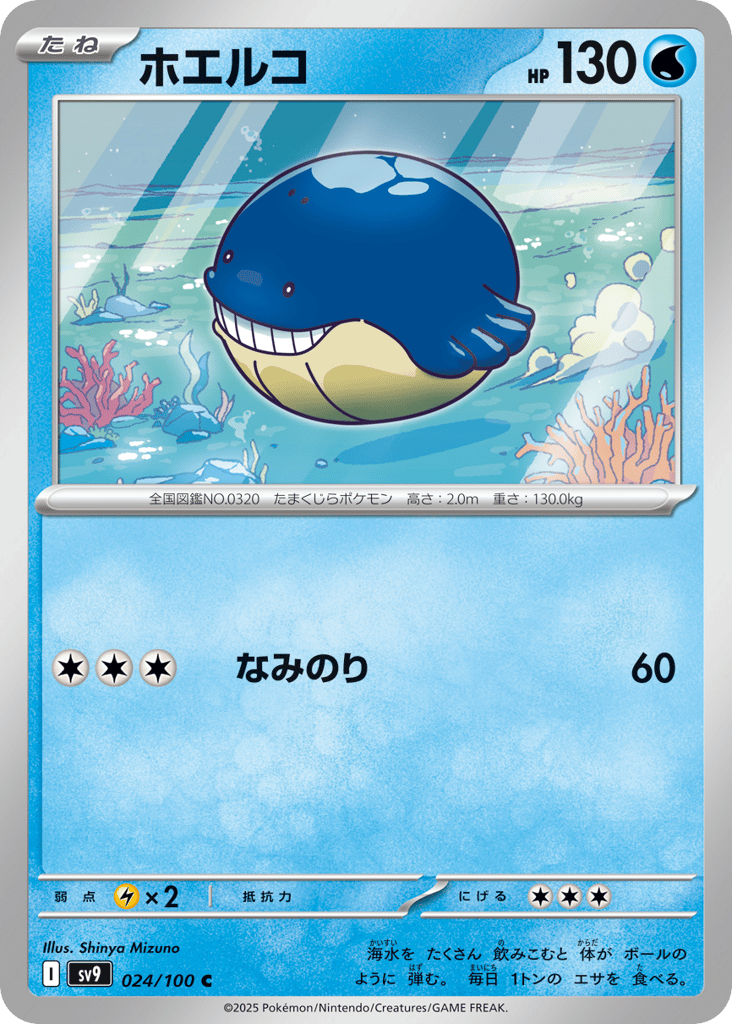 Wailmer 024/100 Battle Partners