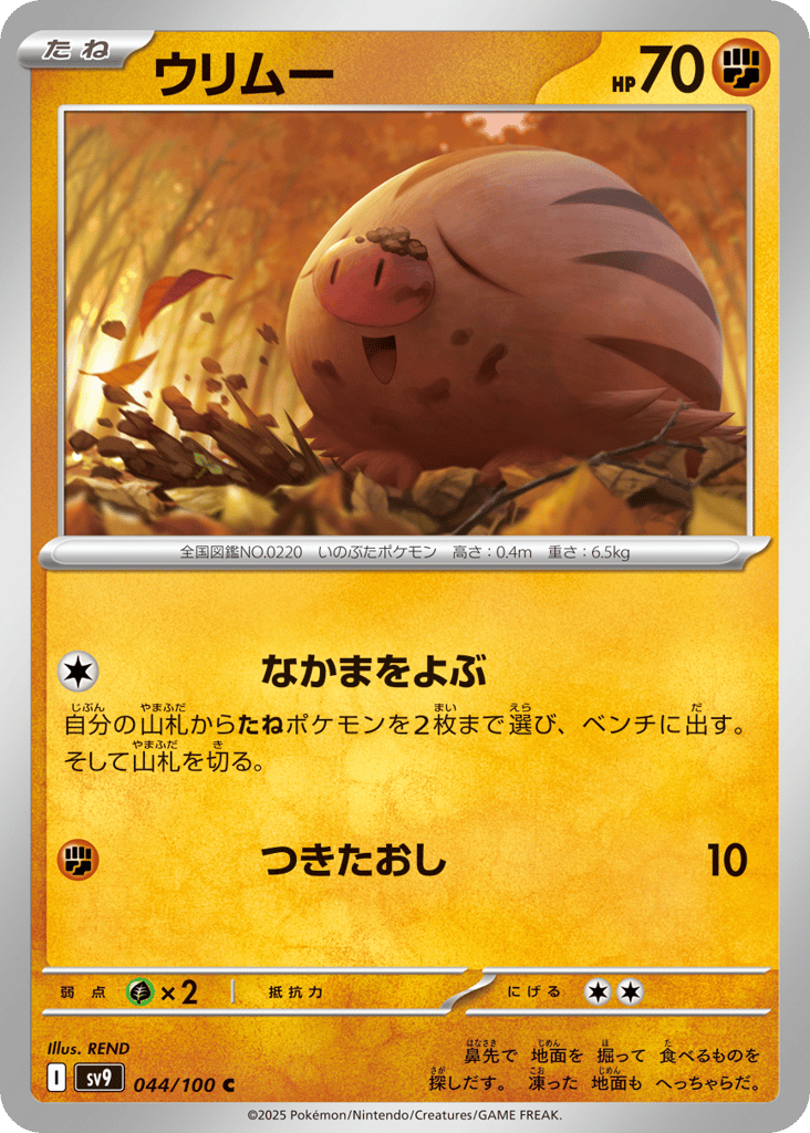 Swinub 044/100 Battle Partners