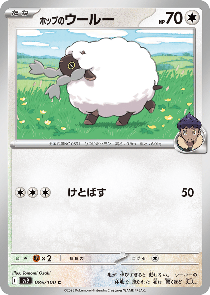 Hop's Wooloo 085/100 Battle Partners