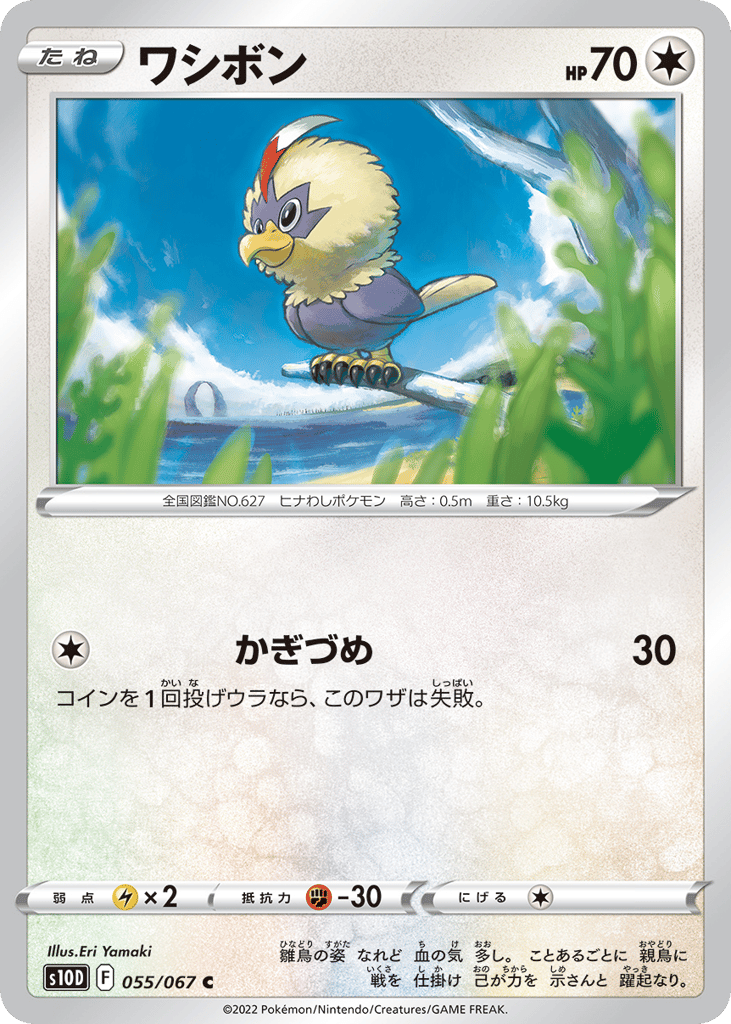 Rufflet 055/067 Time Gazer