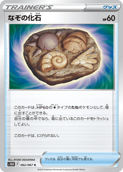 Unidentified Fossil 62 Time Gazer