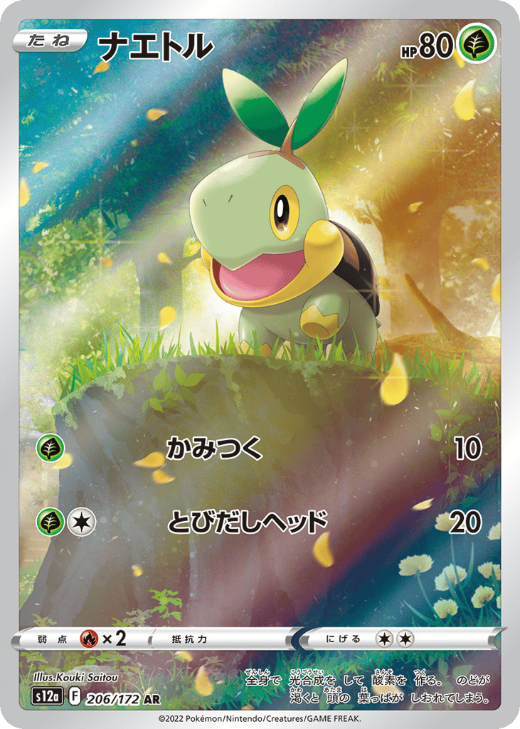 Turtwig 206/172 VSTAR Universe