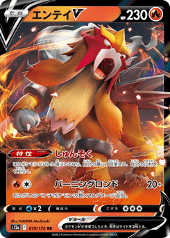 Entei V 019/172 VSTAR Universe