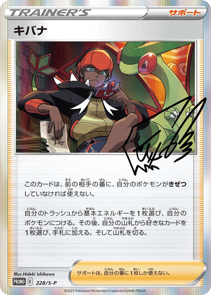 Raihan 228/S-P Sword & Shield Promos