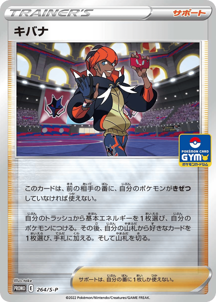Raihan 264/S-P Sword & Shield Promos