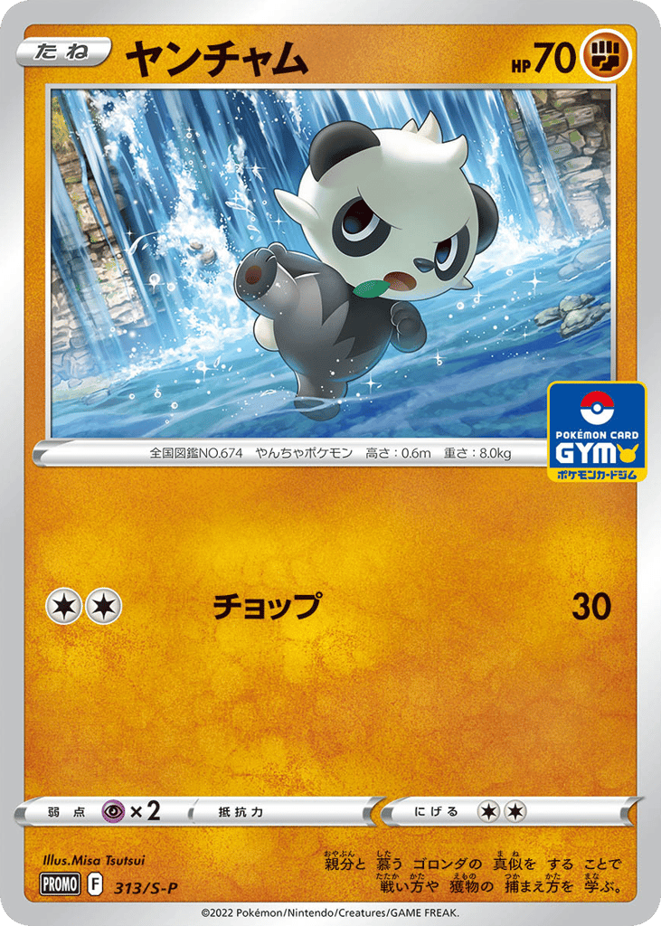 Pancham 313/S-P Sword & Shield Promos