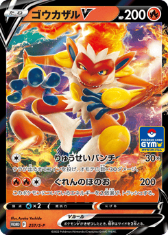Infernape V 257/S-P Sword & Shield Promos