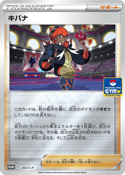 Raihan 264/S-P Sword & Shield Promos