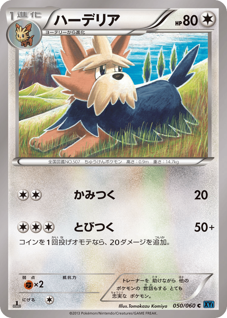 Herdier 050/060 Collection X