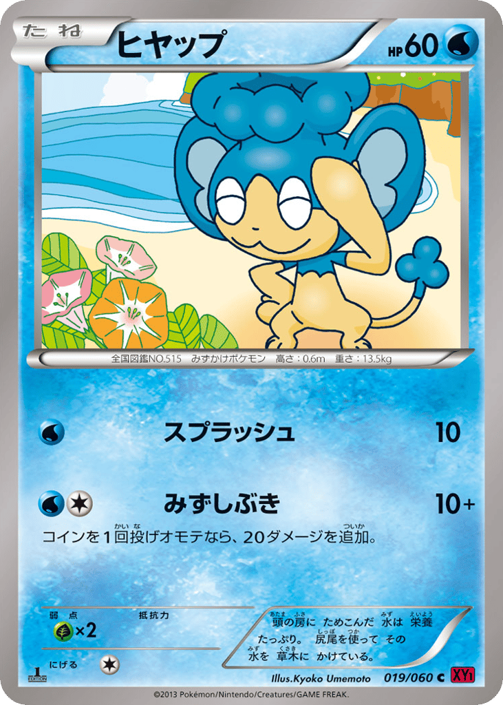 Panpour 019/060 Collection Y