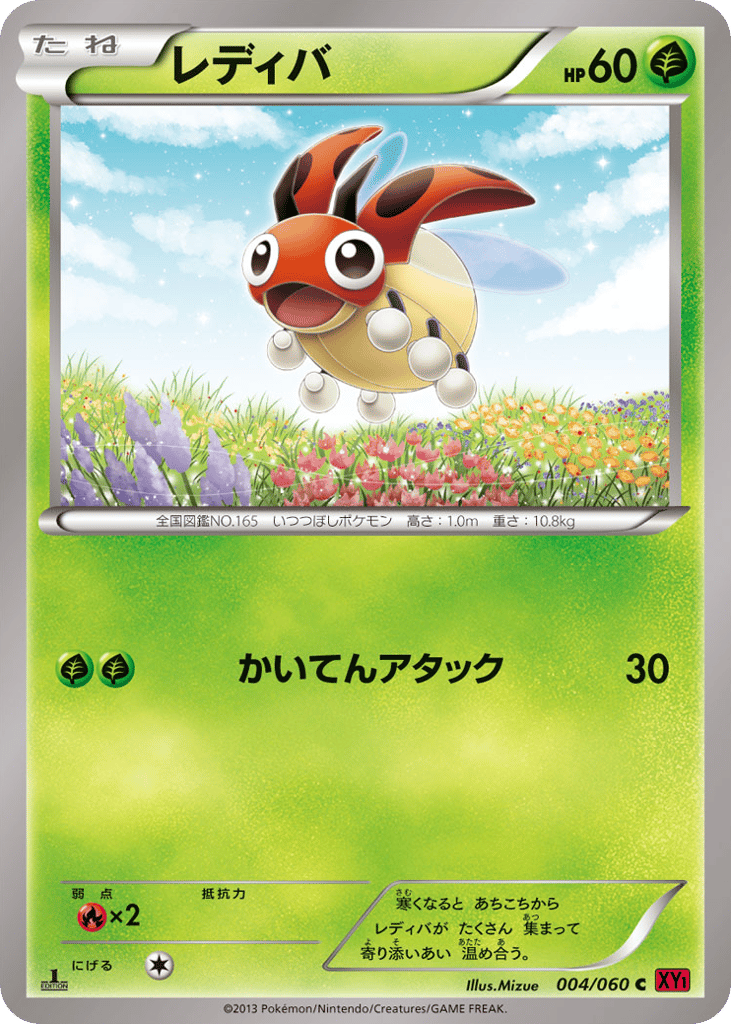 Ledyba 004/060 Collection Y