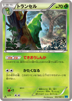 Metapod 002/080 Wild Blaze