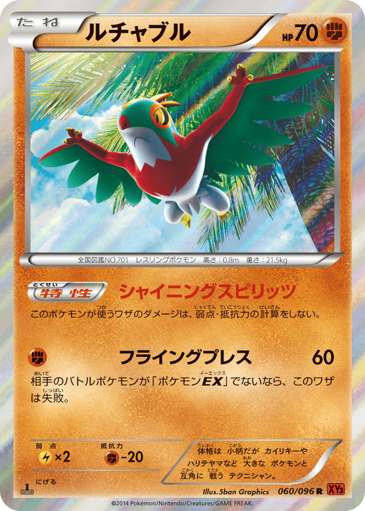Hawlucha 060/096 Rising Fist