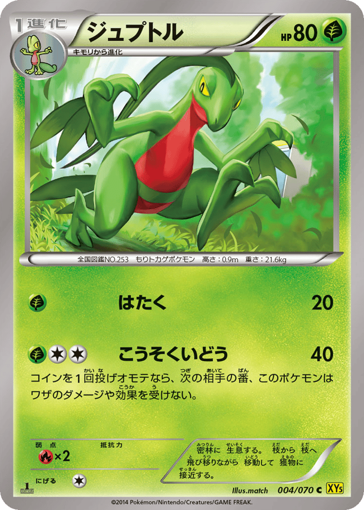 Grovyle 004/070 Gaia Volcano