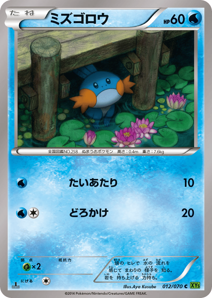 Mudkip 012/070 Tidal Storm