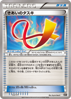 Focus Sash 123/171 The Best of XY