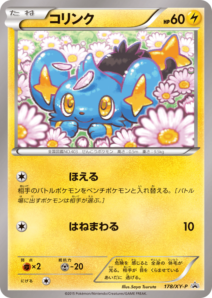 Shinx 178/XY-P XY Promos